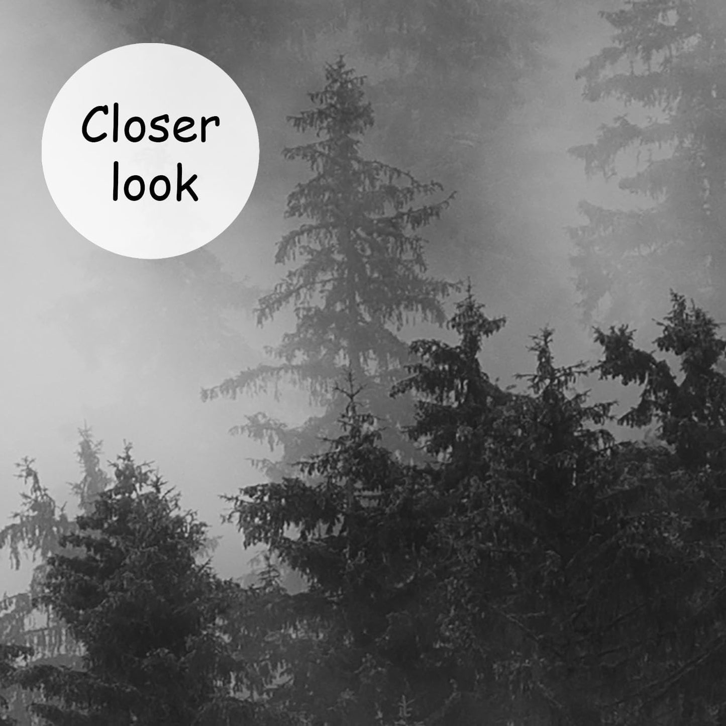 AFZEVEB-Dark Misty Forest Wallpaper Wall murals for Bedroom 136"x96" (Not Peel and Stick)