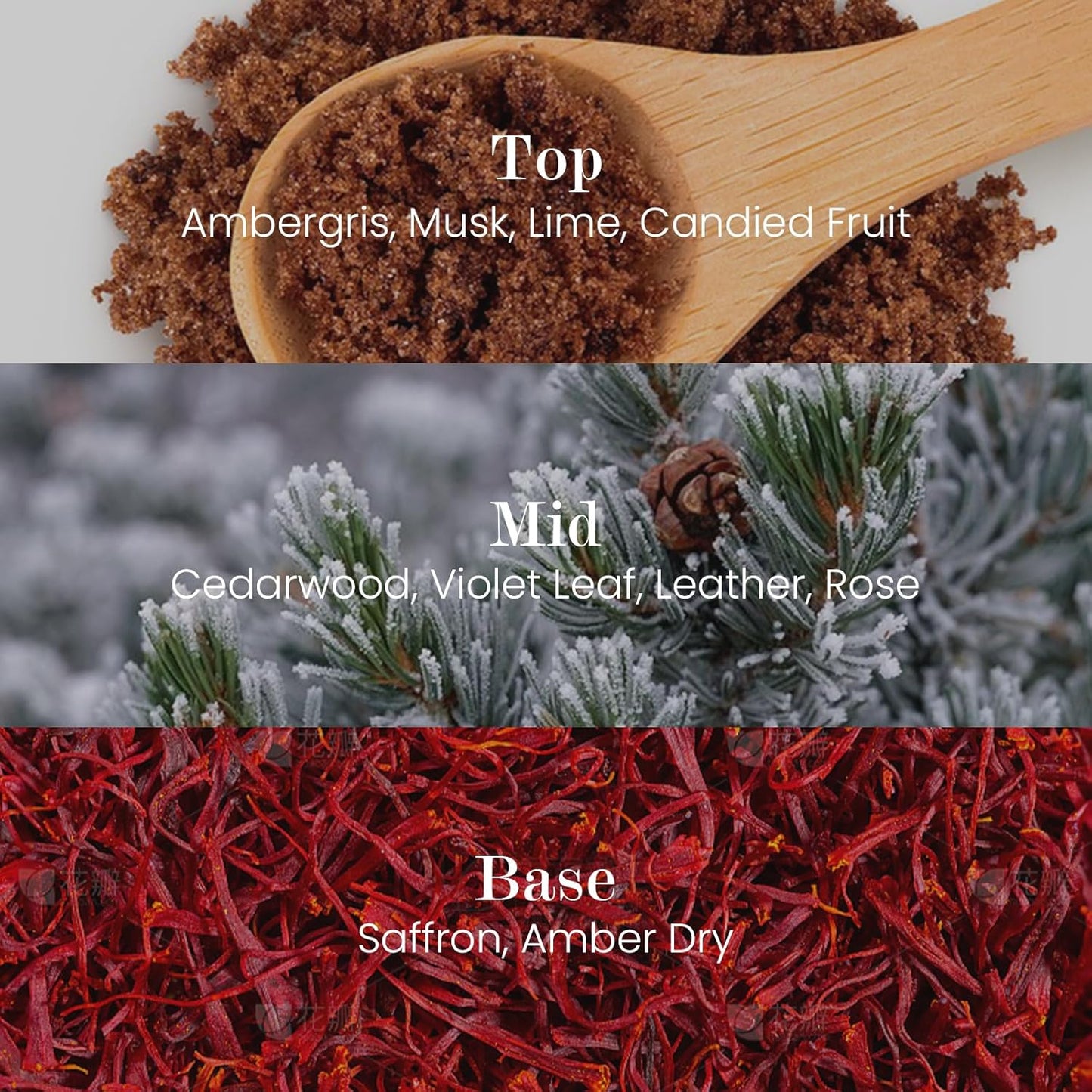 M&SENSE Natural Soy Candle| Leather Night | 16.6 oz, 95H Burn | Minimalist Scented Candle for Relaxation, Gifting, Home Décor | for Bedroom, Office, Party Large